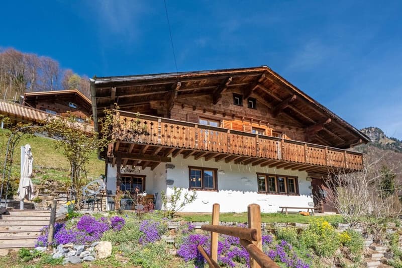 Ein Zuhause für alle, die Ruhe suchen (1)