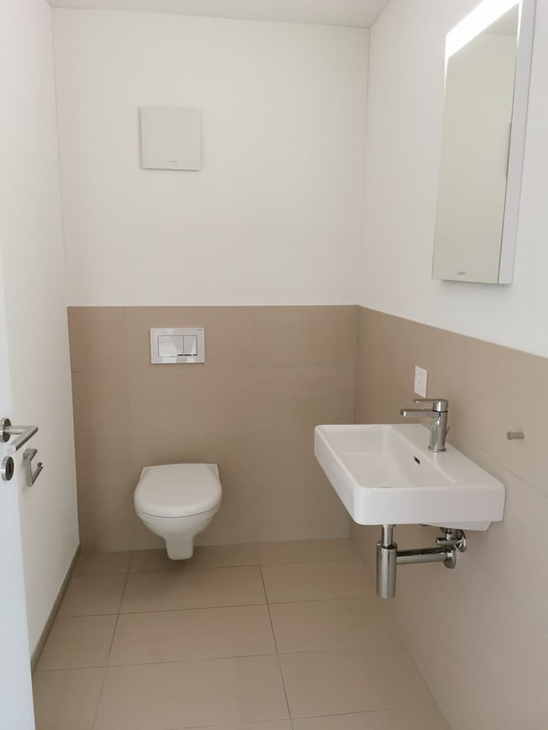 moderne Parterrewohnung mit grossem Sitzplatz in Seerheinnähe (6)
