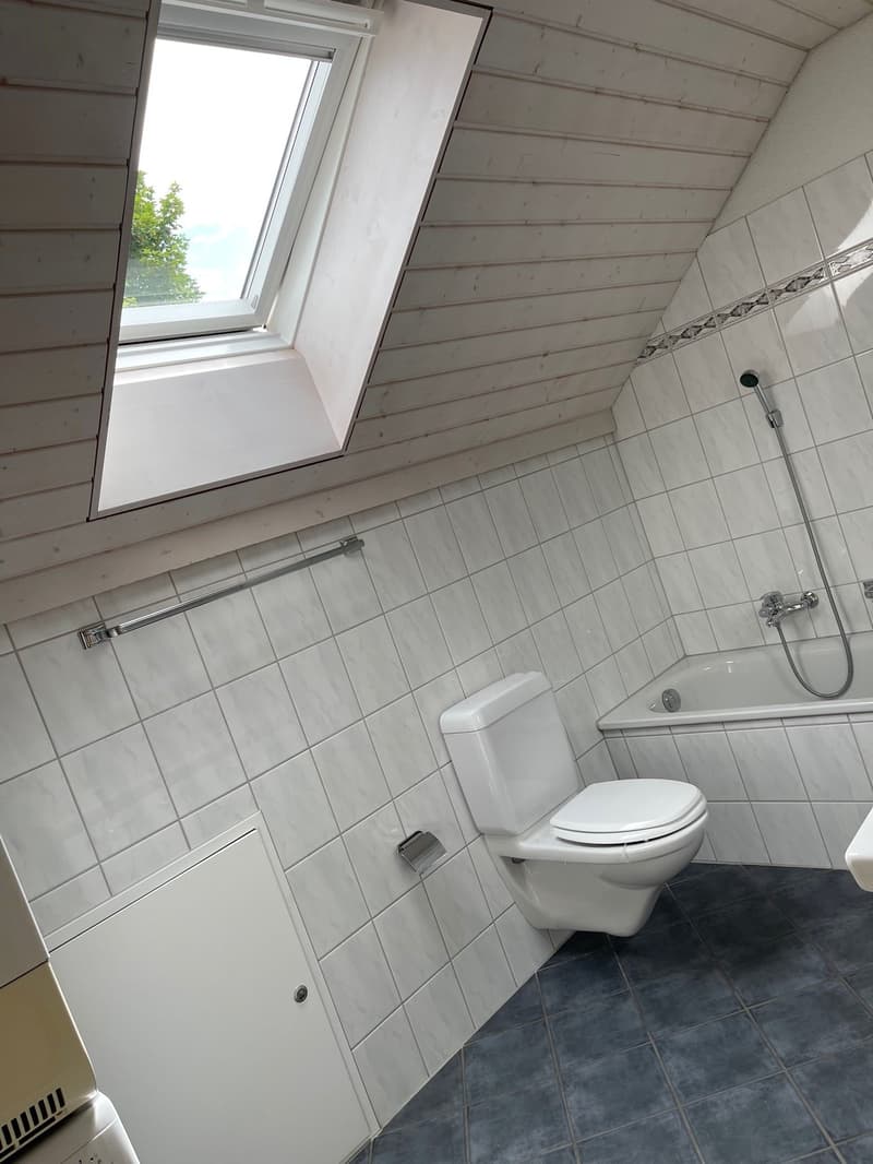 helle, gemütliche Wohnung sucht Sie! (9)