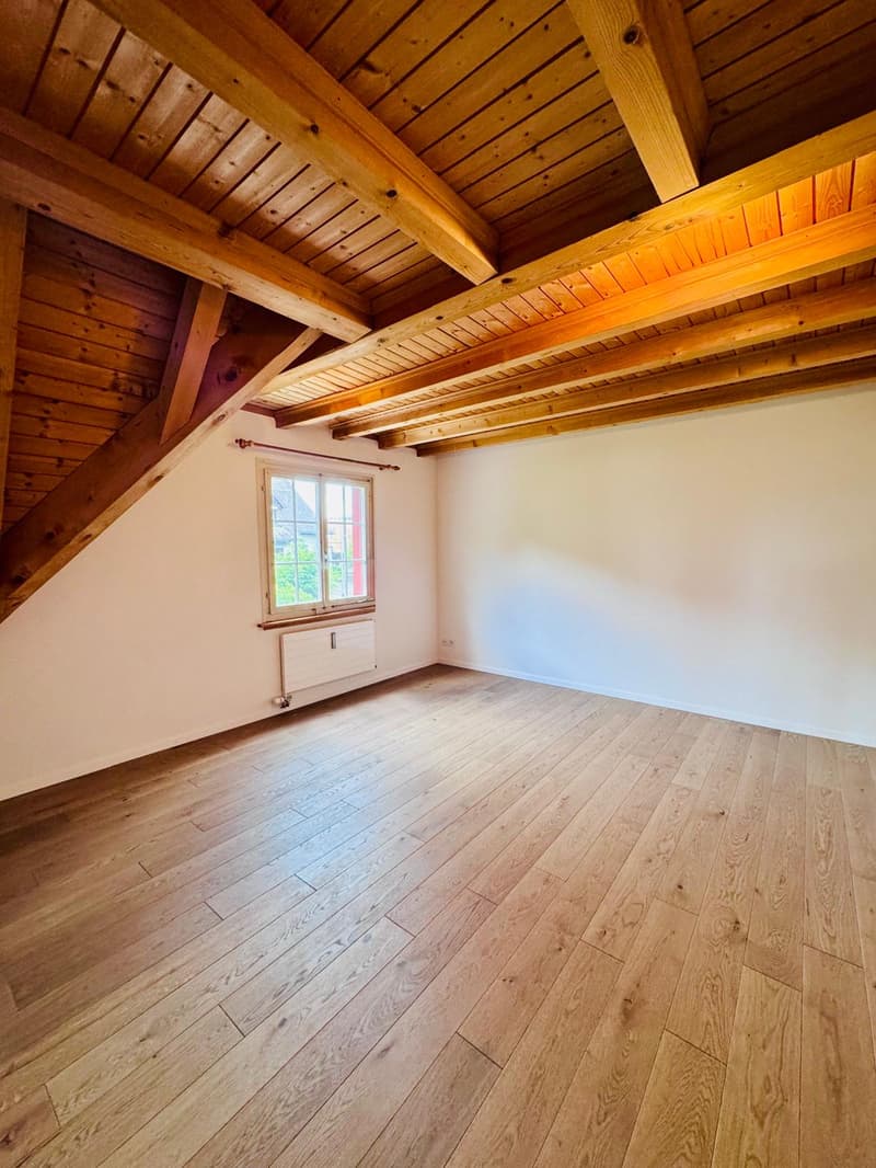 neu sanierte, stilvolle Maisonette-Wohnung im Dorfkern Tägerwilen (6)