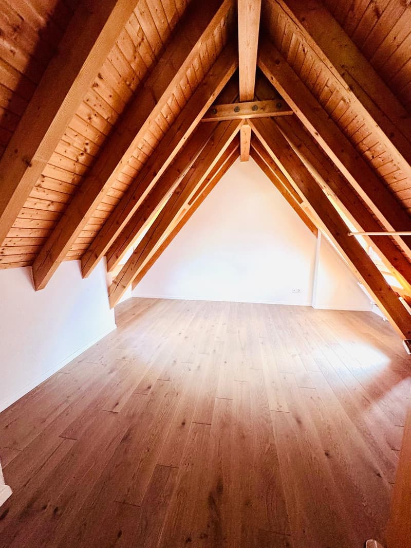 neu renovierte, stilvolle Maisonette-Wohnung im Dorfkern Tägerwilen (7)