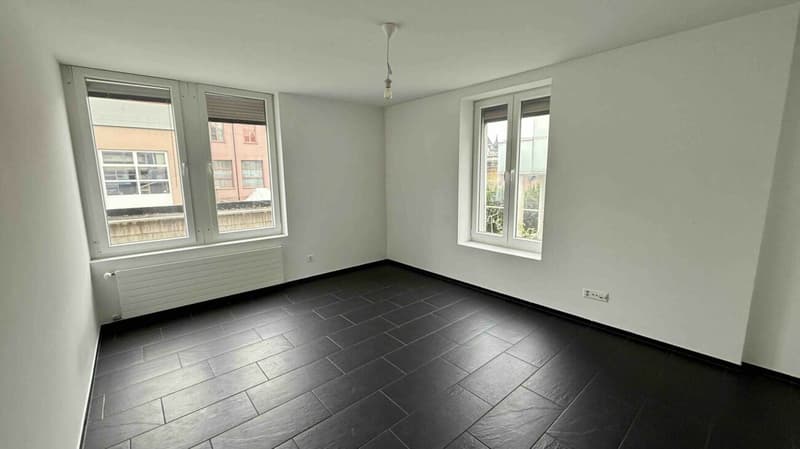 1.5-Zimmerwohnung (2)