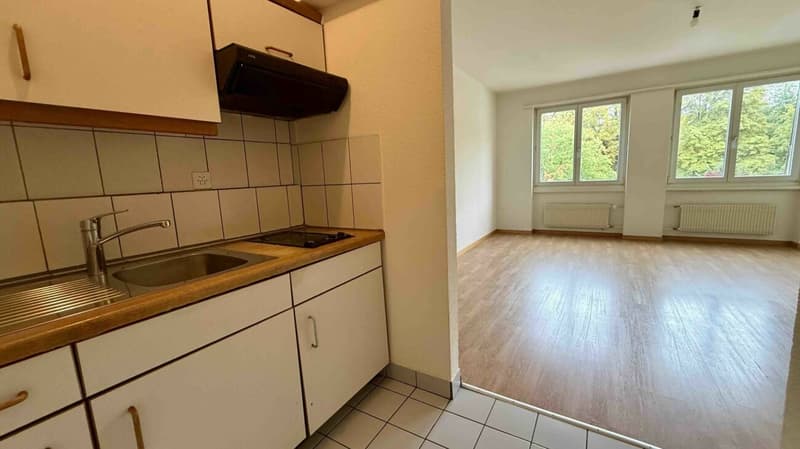 1-Zimmerwohnung (2)