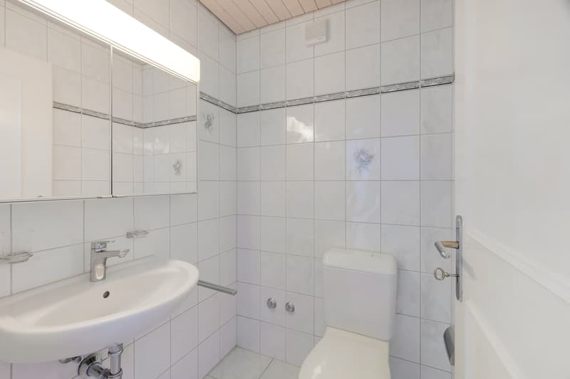 Magnify-Hochrutistrasse 1-Boden OG 05.jpg