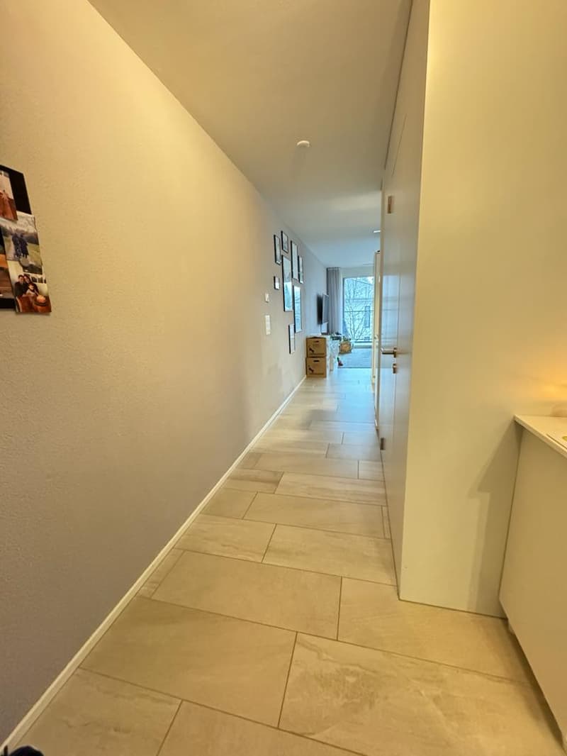 Wohnung - Dübendorf