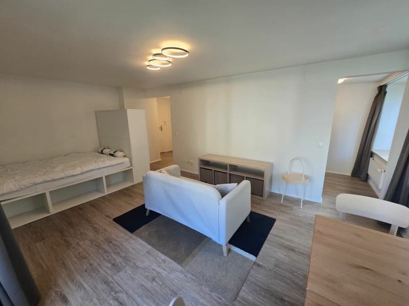 1.5-Zi. Stadtwohnung saniert und möbliert (4)