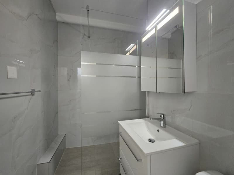 1-Zimmer-Wohnung im Herzen von St. Gallen (5)
