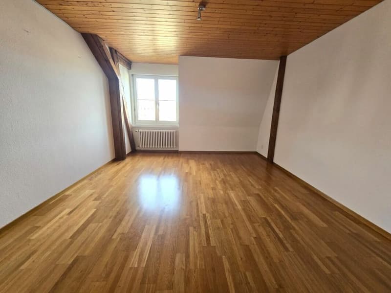 Charmante 3.5-Zimmerwohnung an zentraler Lage in St. Gallen (3)