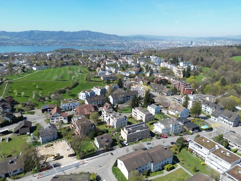 Aerial view of a residential area with many houses, green spaces, and a lake in the distance.