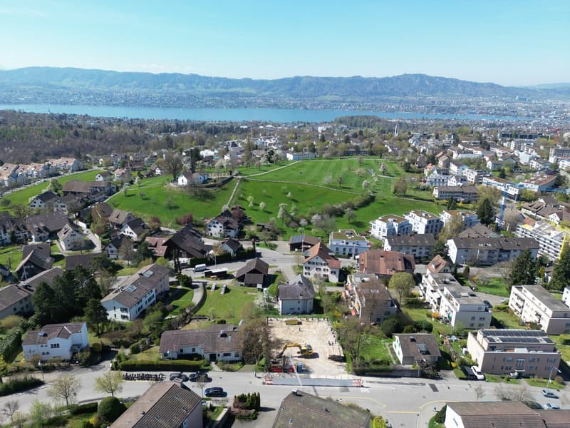 Aerial view of a residential area with houses, a green field, and a lake in the distance.