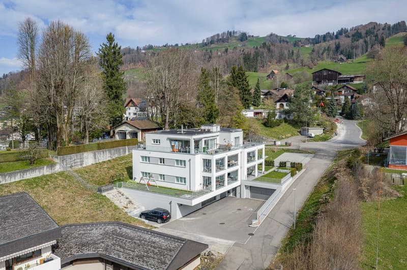 Moderne 4.5-Zimmer-Wohnung mit Bergpanorama in Ebnat-Kappel (2)