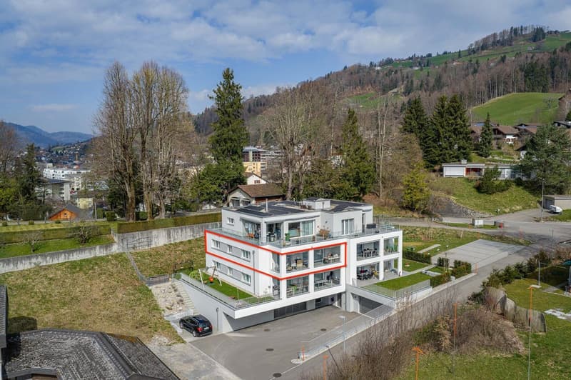Moderne 4.5-Zimmer-Wohnung mit Bergpanorama in Ebnat-Kappel (1)