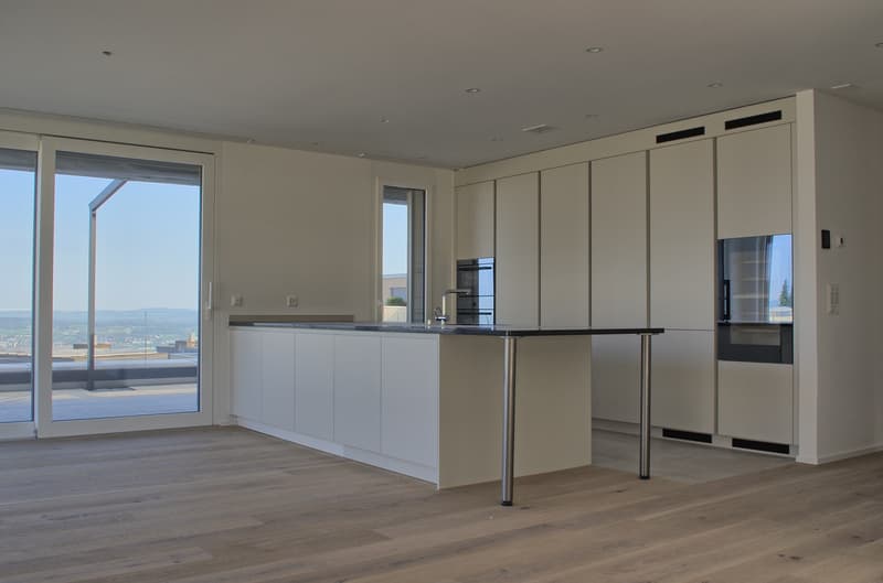 Hochwertige Attika Terrassenwohnung mit Seesicht (3)