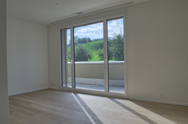 Hochwertige Attika Terrassenwohnung mit Seesicht (10)