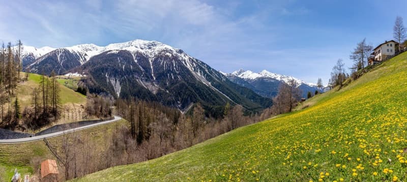 Building land for your dream house in the mountains (4)