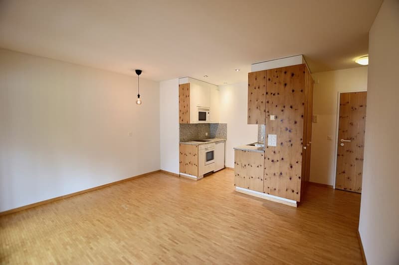 2-Zimmer-Dachwohnung (1)