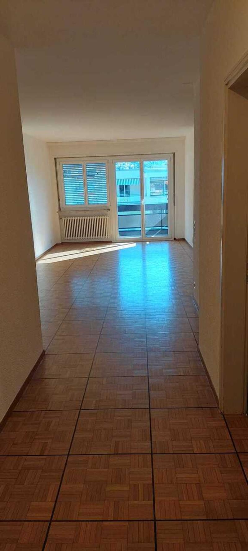 ASCONA, AFFITTIAMO APPARTAMENTO MONOLOCALE (7)