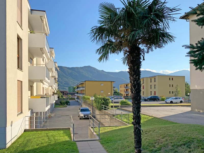 SEMENTINA, Affittiamo appartamento di 2½ locali (4)