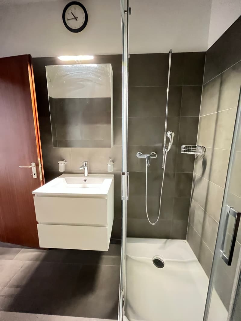 BELLINZONA, Affittiamo appartamento rinnovato di 2½ locali (6)