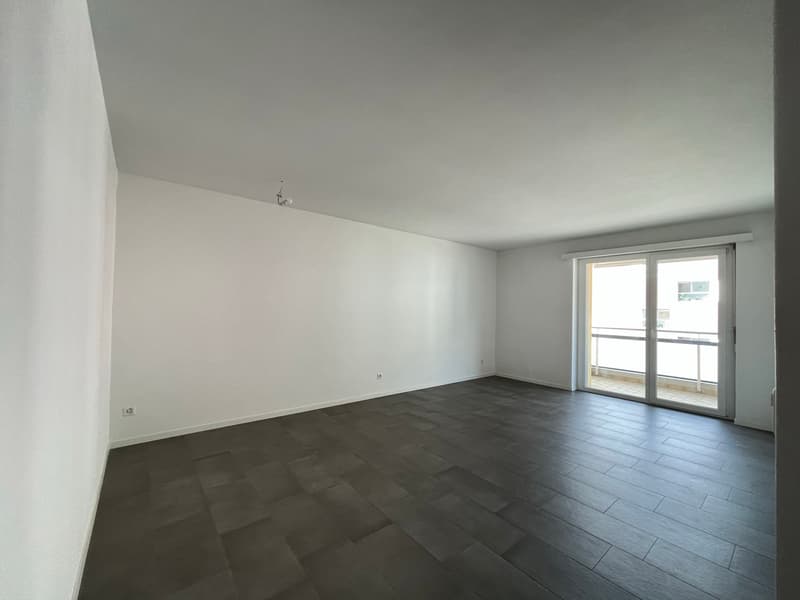 BELLINZONA, Affittiamo appartamento rinnovato di 2½ locali (3)