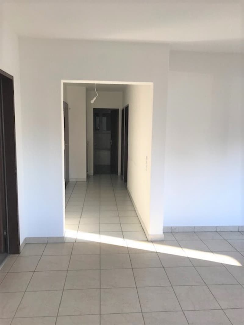 ASCONA, affittiamo appartamento 3 1/2 locali in zona centrale (5)