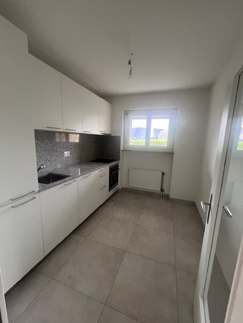 ASCONA, affittiamo appartamento di 2 1/2 locali in zona centrale (6)