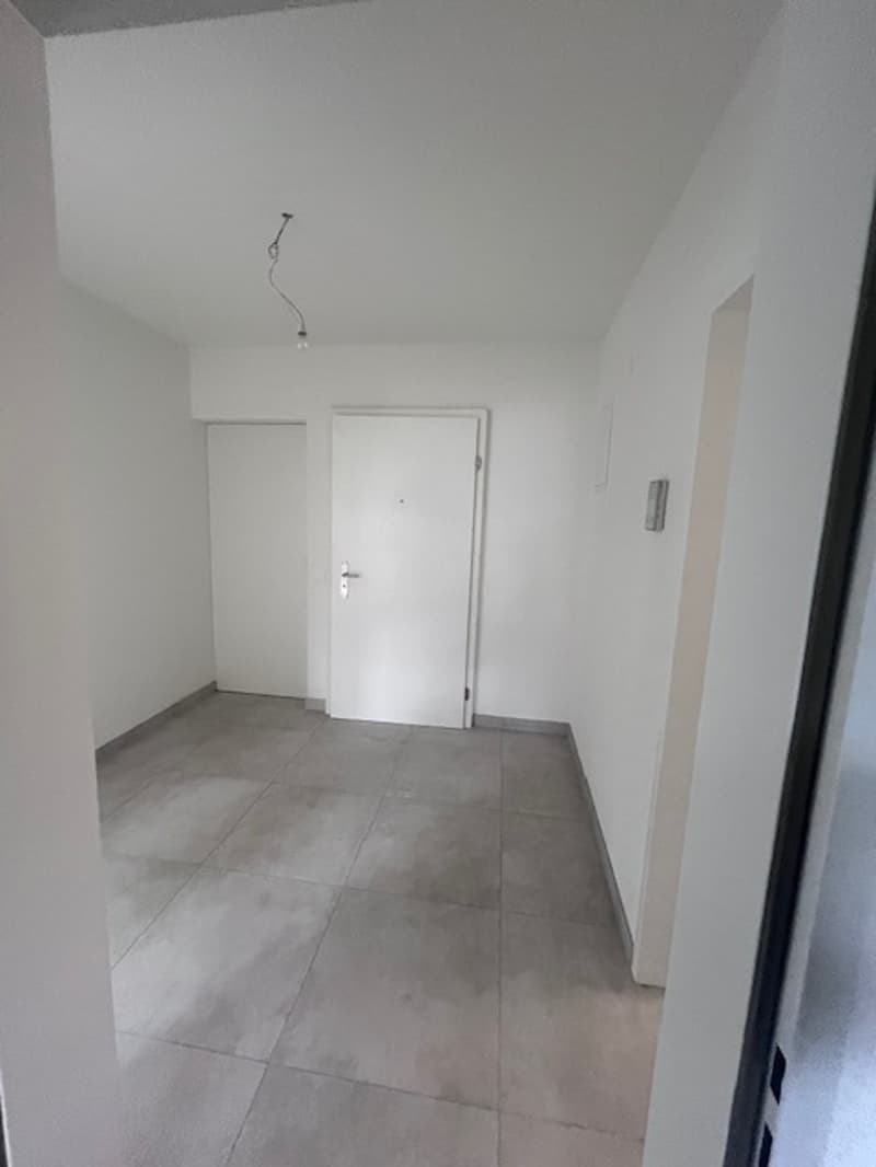 ASCONA, affittiamo appartamento di 2 1/2 locali in zona centrale (8)
