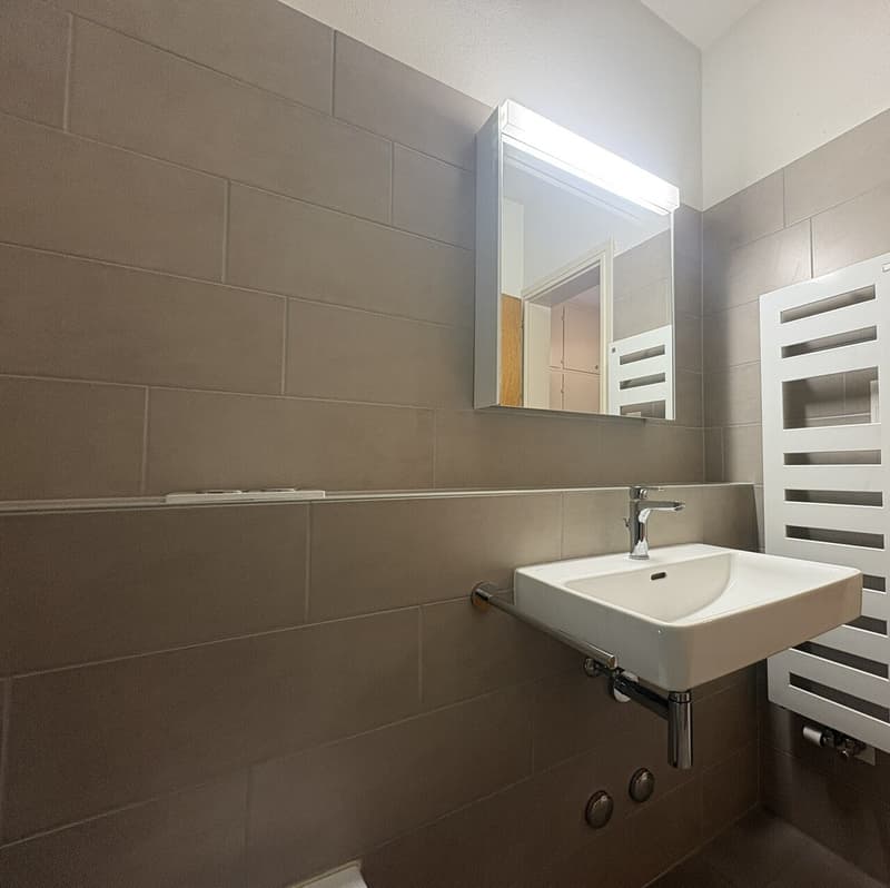 ASCONA, Affittasi monolocale con cucina separata (7)