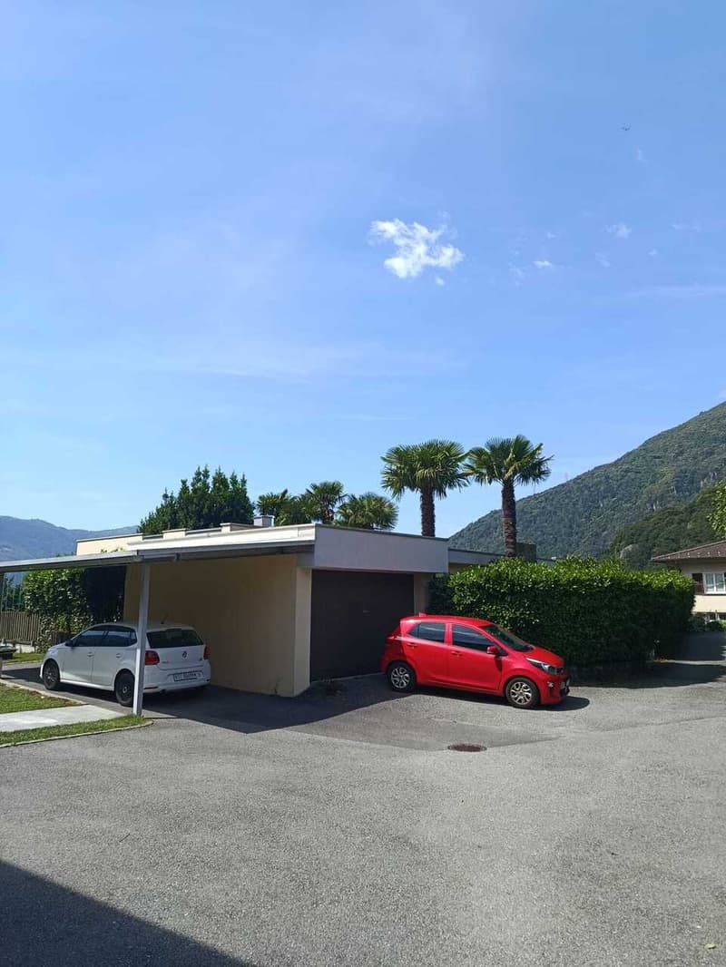 BELLINZONA/GALBISIO - Villa unifamiliare con grande giardino (10)