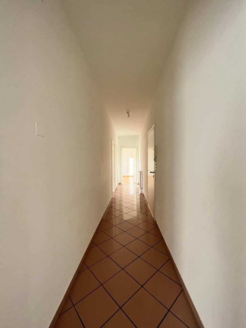 SEMENTINA, Affittasi spazioso e conveniente 3½ locali (6)