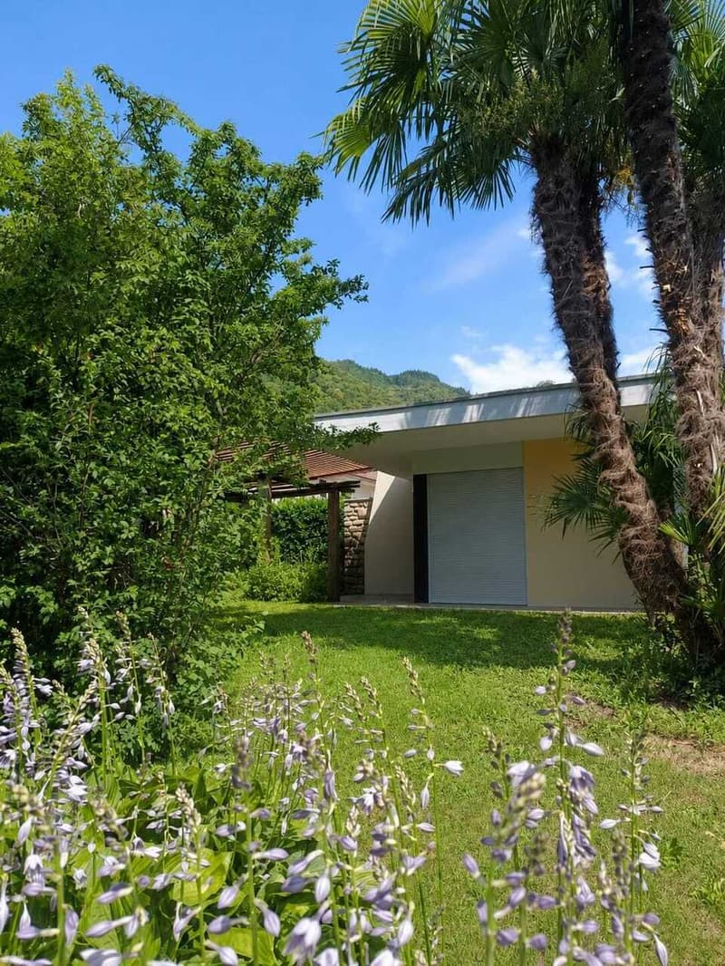 BELLINZONA/GALBISIO - Villa unifamiliare con grande giardino (9)