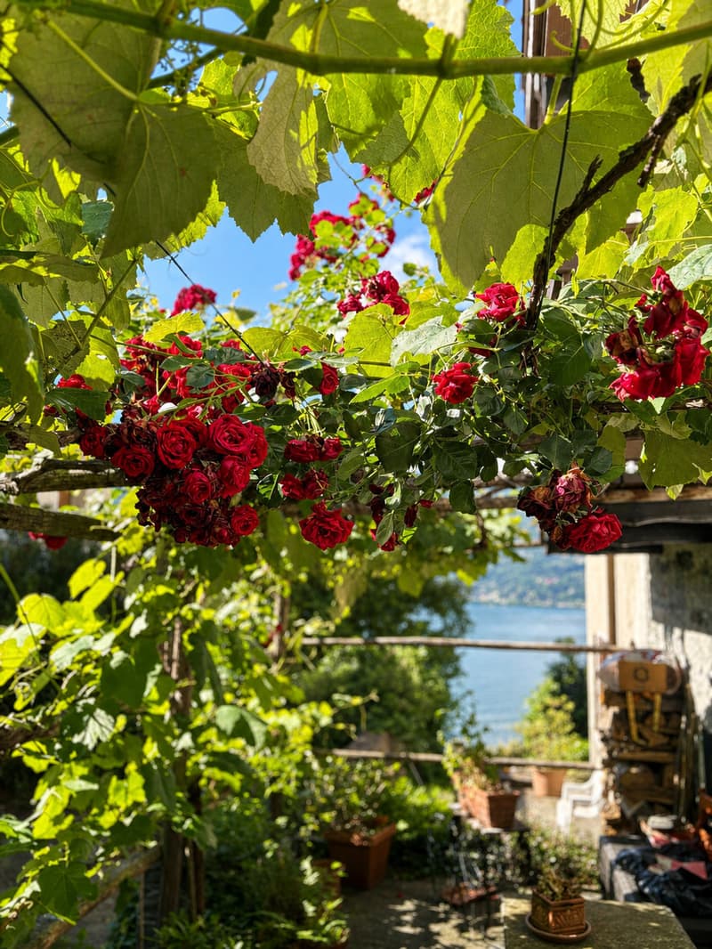 COROGNOLA - Affascinante casa ticinese con vista Lago Maggiore (8)