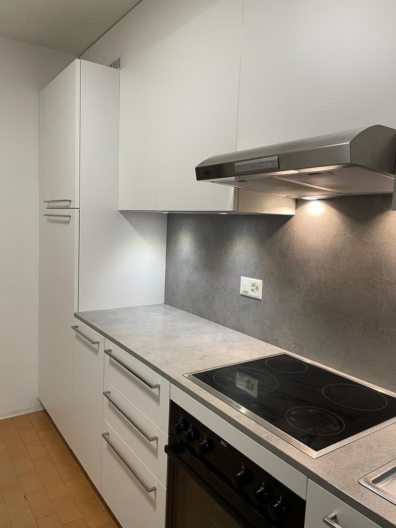SEMENTINA, Affittiamo appartamento di 3½ locali (5)