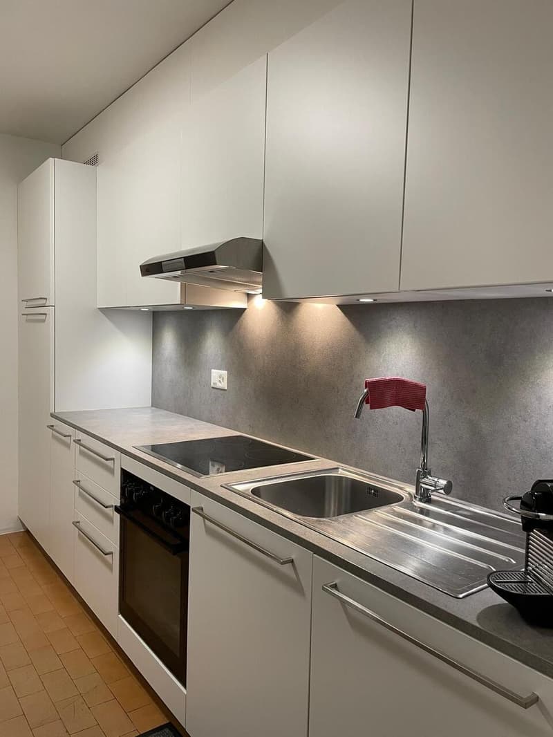 SEMENTINA, Affittiamo appartamento di 3½ locali (7)