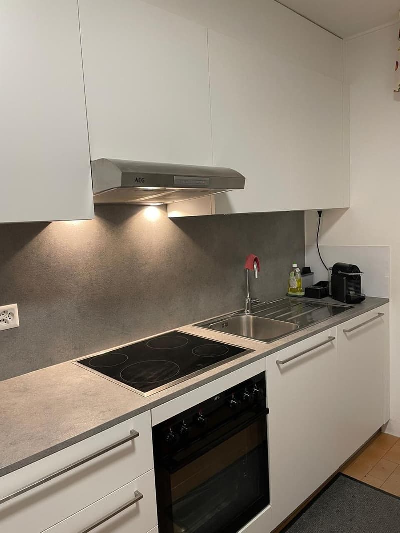 SEMENTINA, Affittiamo appartamento di 3½ locali (4)