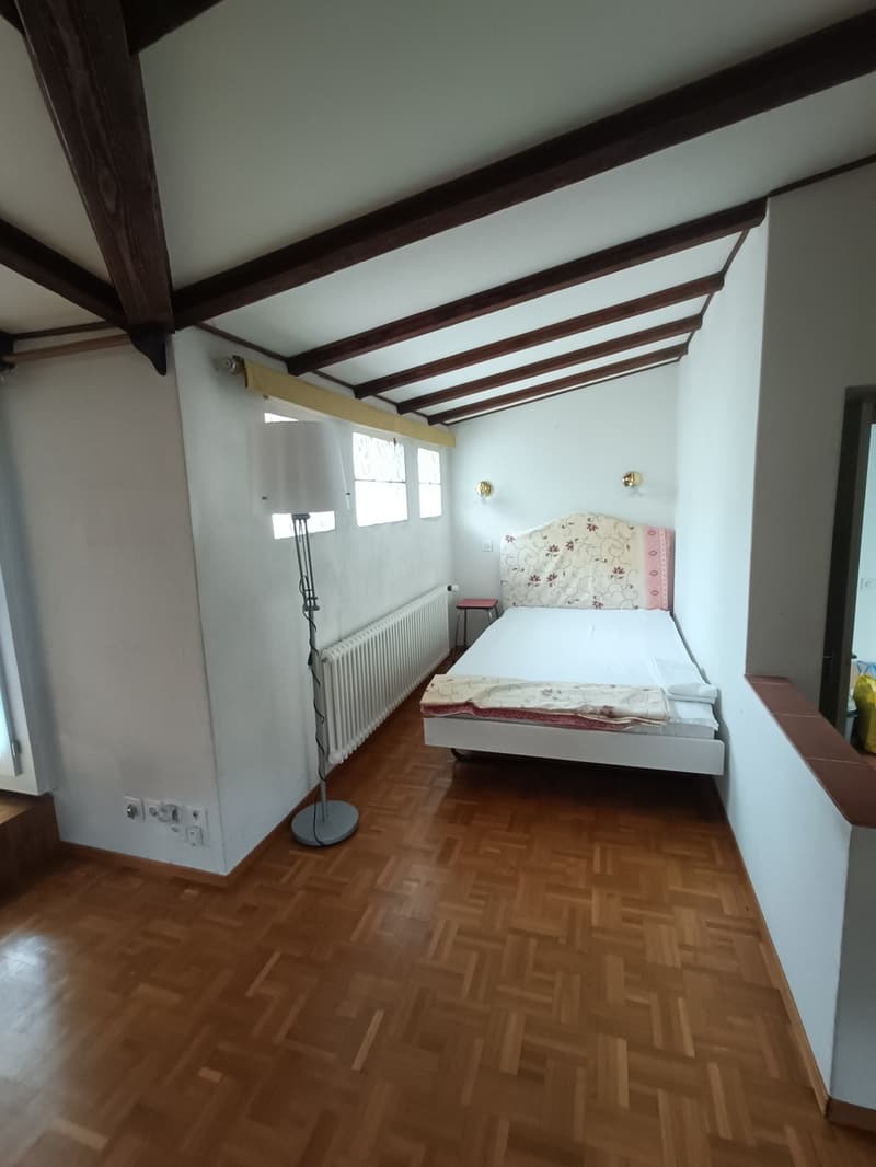 ASCONA, AFFITTIAMO APPARTAMENTO AMMOBILIATO DI 1 1/2 LOCALI (3)