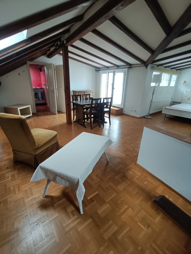 ASCONA, AFFITTIAMO APPARTAMENTO AMMOBILIATO DI 1 1/2 LOCALI (2)