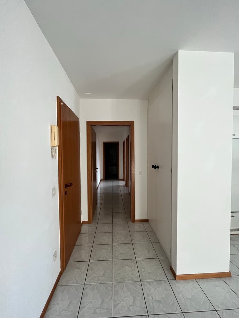 SEMENTINA, Affittiamo appartamento di 3½ locali (10)