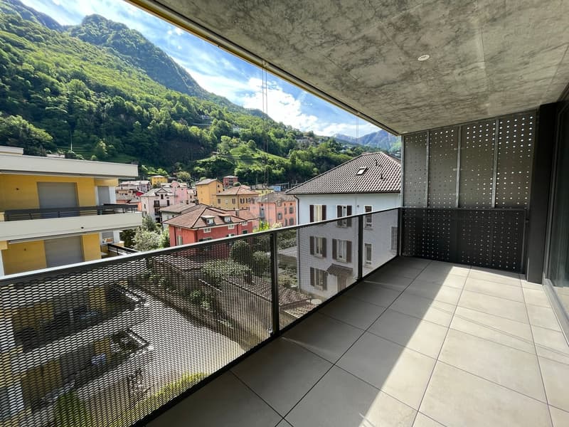 BELLINZONA, Affittasi 2½ locali moderno e centrale (8)