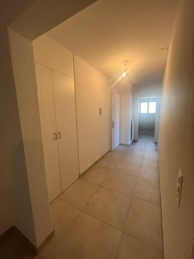 ASCONA, affittiamo appartamento 3 1/2 locali in zona centrale (8)