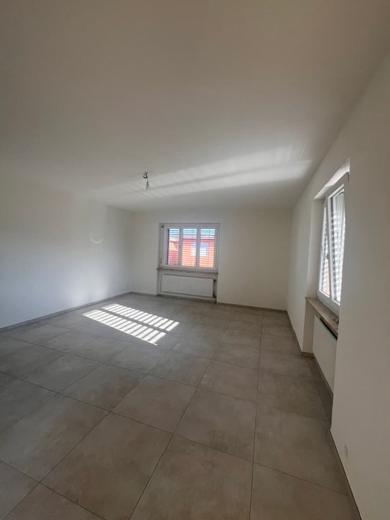 ASCONA, affittiamo appartamento 3 1/2 locali in zona centrale (10)
