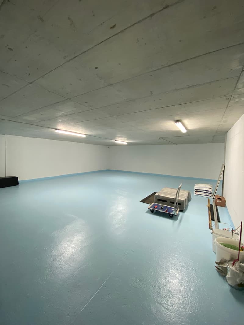 Grande surface commerciale de 150m2 propre à la création d'atelier ... (4)