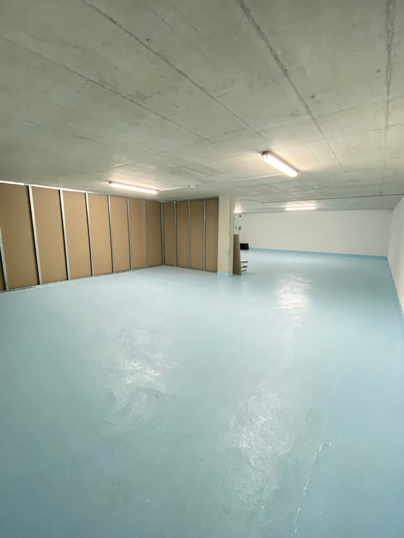 Grande surface commerciale de 150m2 propre à la création d'atelier ... (2)
