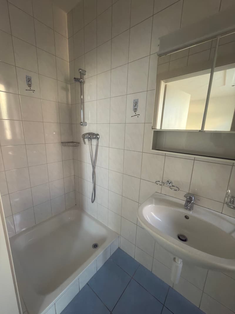 1er loyer offert ! Appartement de 3 pièces situé au rez-de-chaussée (5)