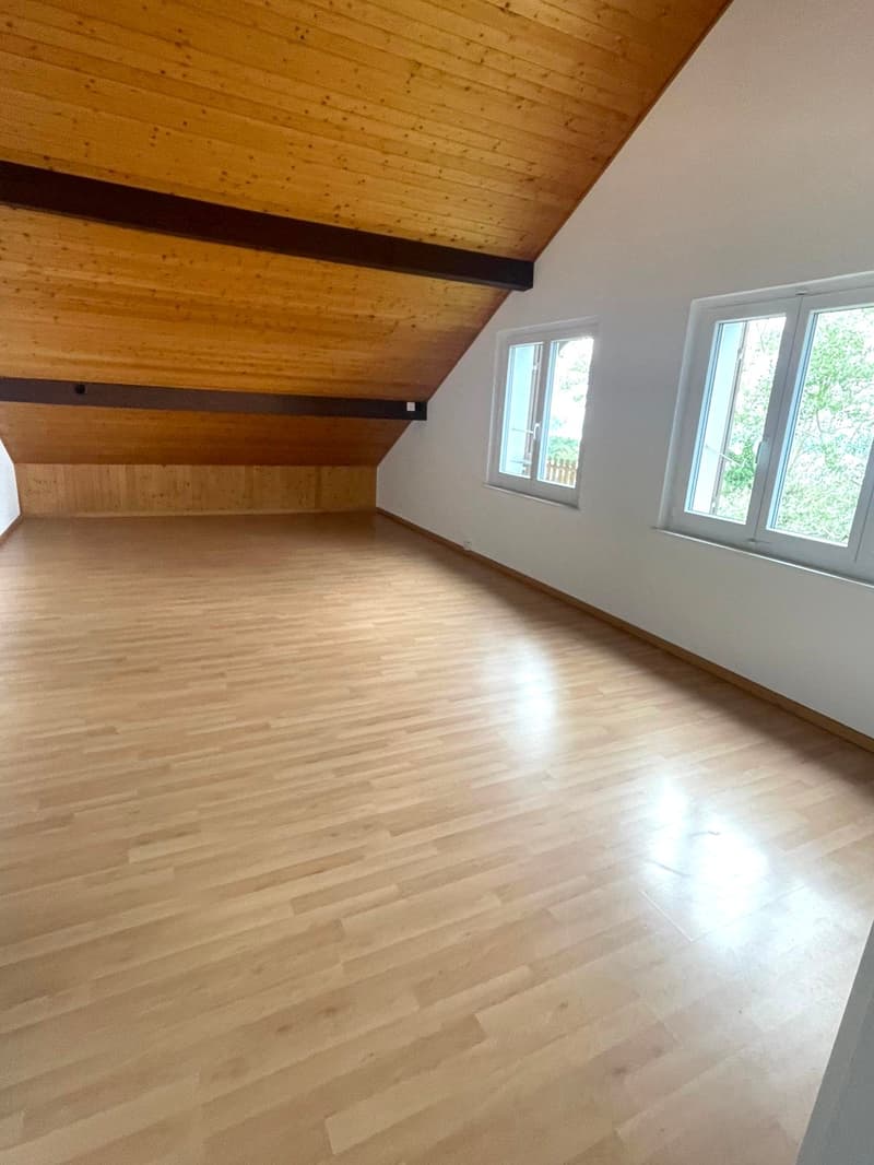 Magnifique appartement de 3,5 pièces avec vue sur les Alpes et le lac (4)