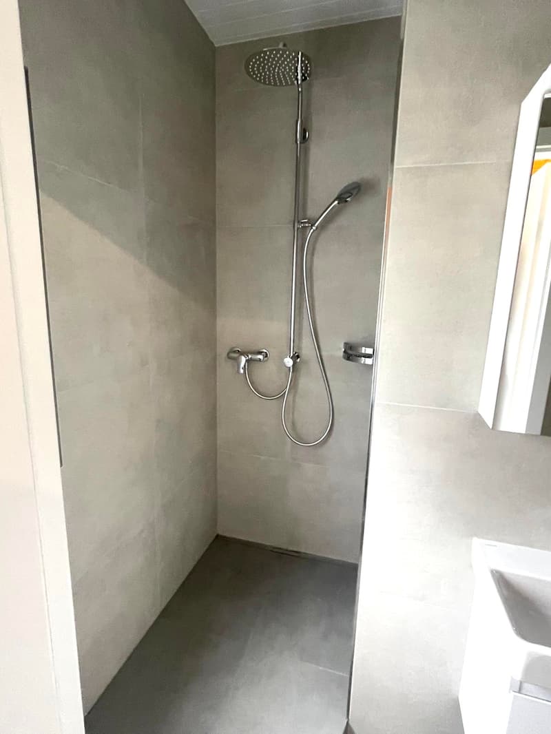 Magnifique appartement de 3,5 pièces avec vue sur les Alpes et le lac (6)