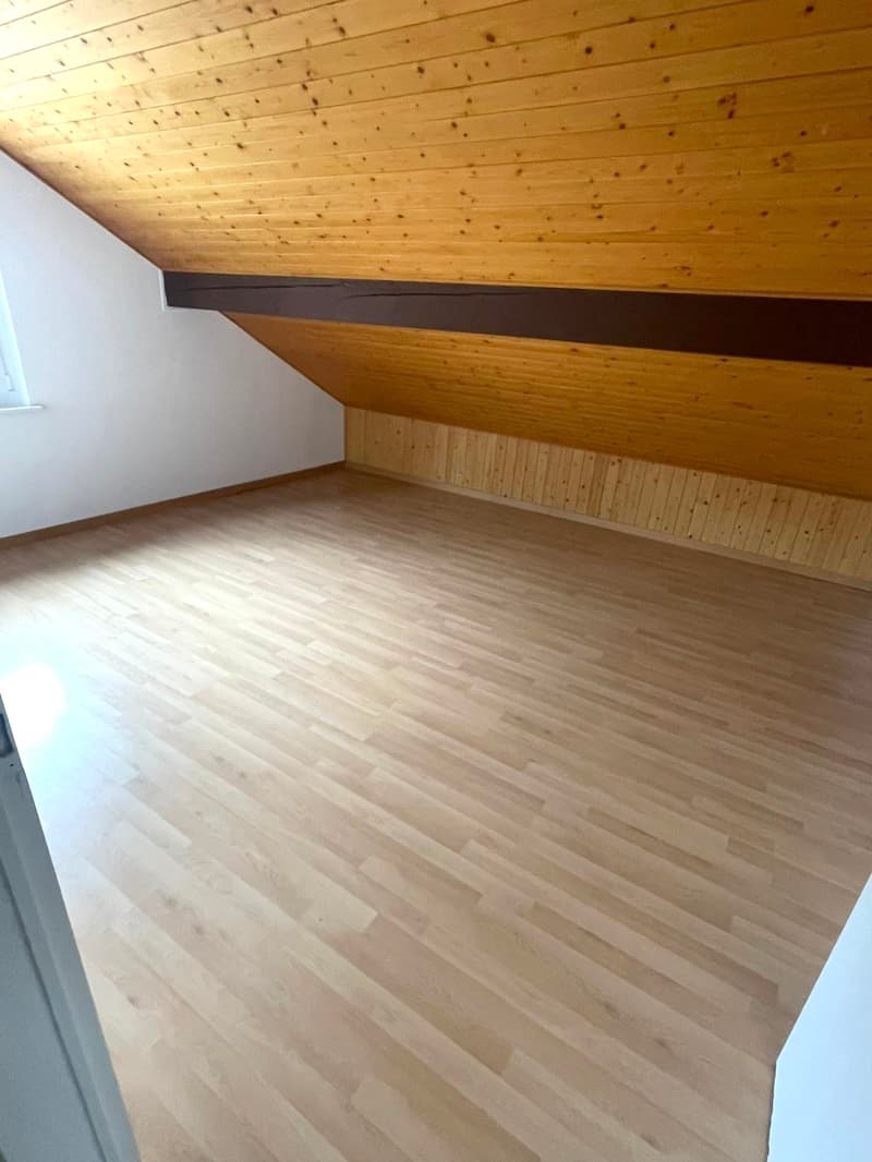 Magnifique appartement de 3,5 pièces avec vue sur les Alpes et le lac (5)