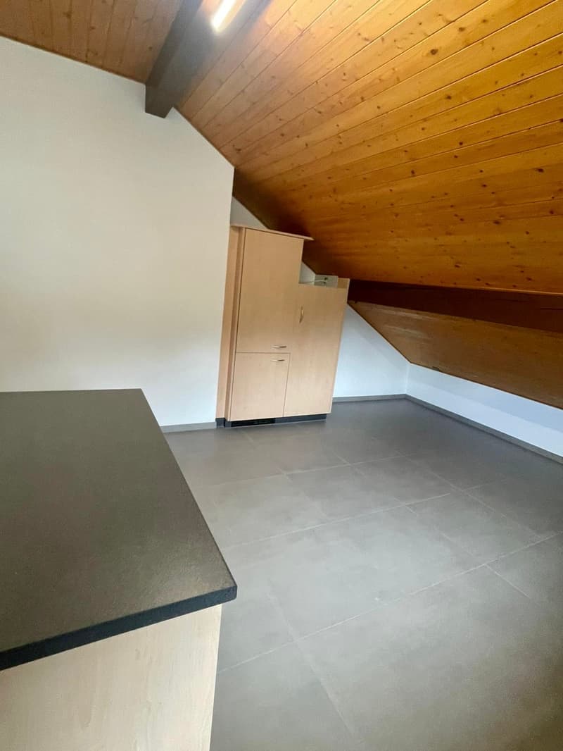 Magnifique appartement de 3,5 pièces avec vue sur les Alpes et le lac (2)
