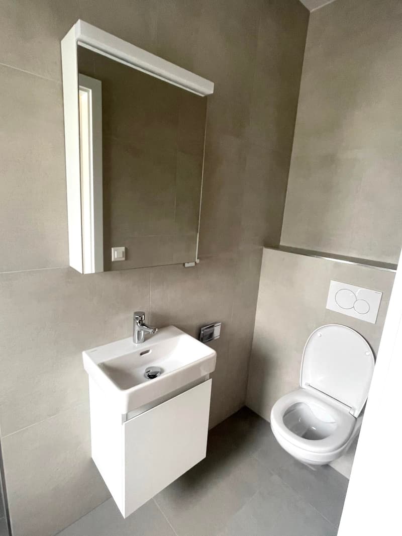 Magnifique appartement de 3,5 pièces avec vue sur les Alpes et le lac (7)