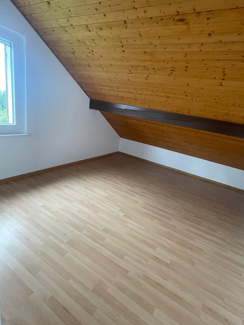 Magnifique appartement de 3,5 pièces avec vue sur les Alpes et le lac (3)